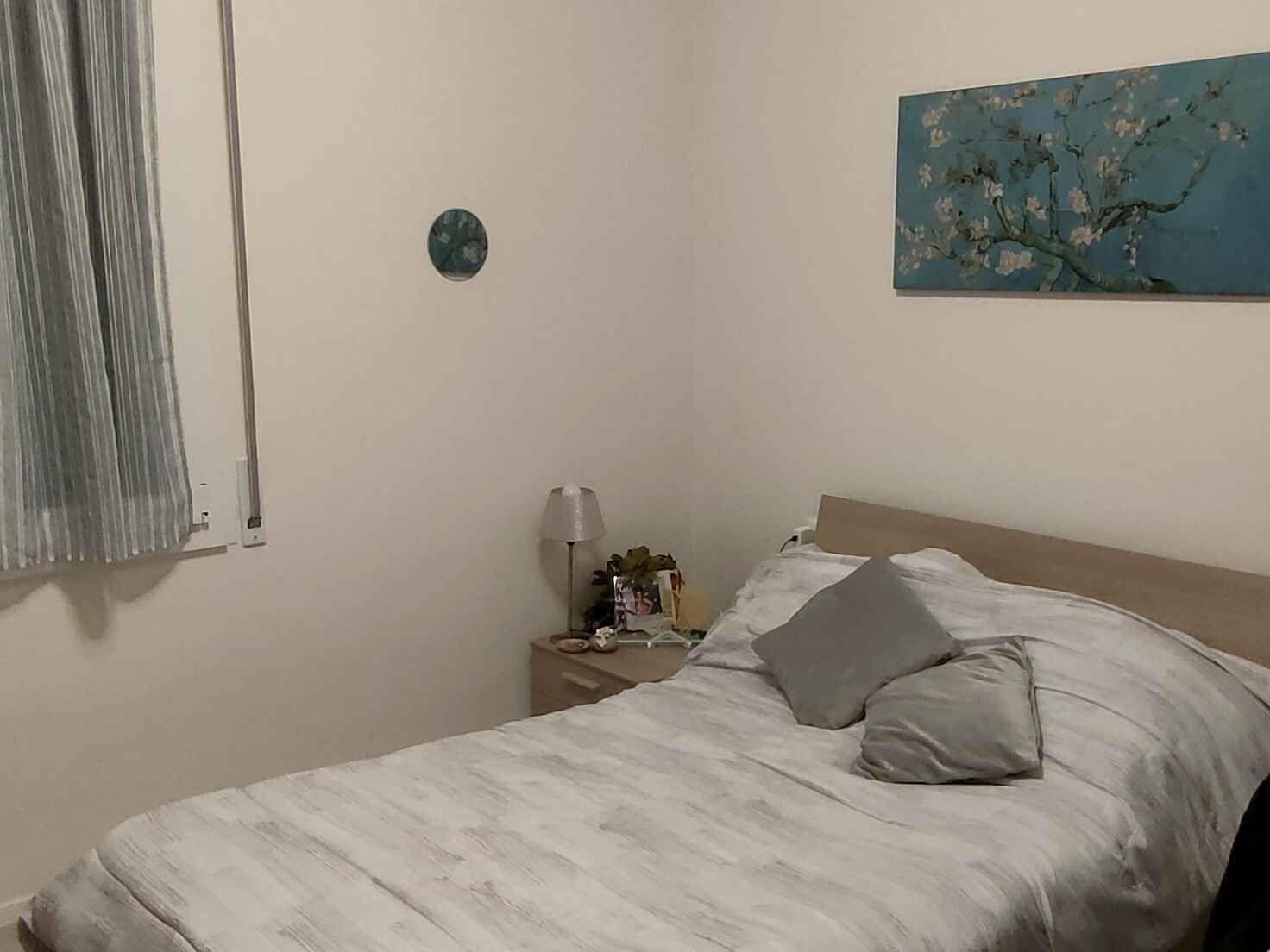 Immagine principale: Affitto stanza singola in zona Bolognina