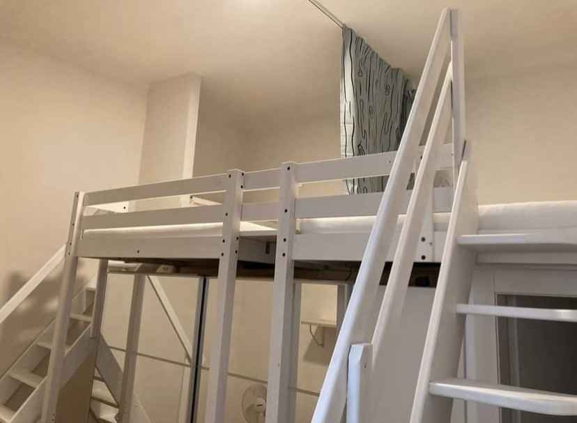 Immagine principale: cercasi coinquilina