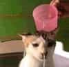 Thumbnail immagine profilo Rumix di Andrea Ioannilli