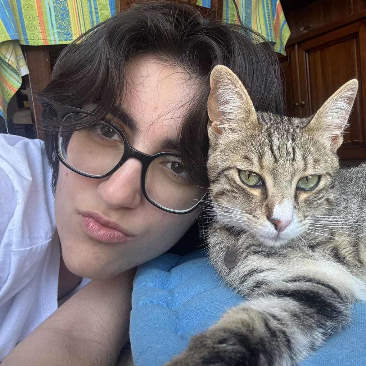 Immagine principale: Cerco stanza singola o monolocale a Bologna